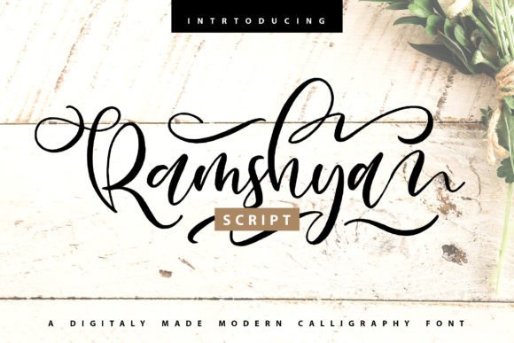 Choosing Ramshya for a Modern Web Design Project