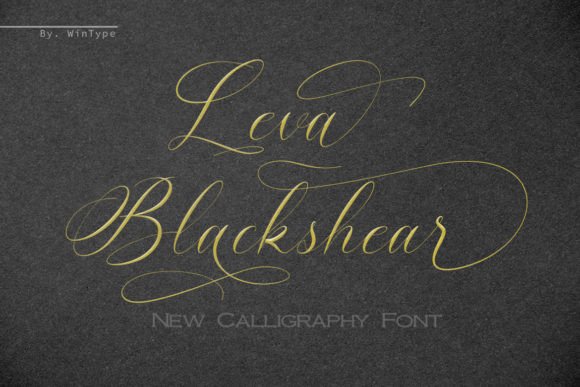 Leva Blackshear: The Premium Script Font for Campaign Designers