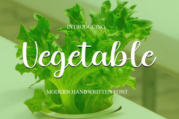 Vegetable: The Modern Handwritten Typeface for Polished Branding
